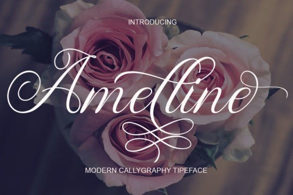 Amelline: A Modern Calligraphy Font for Branding Projects