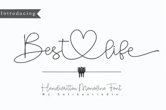 Best Life Font for Clear and Stylish Campaigns