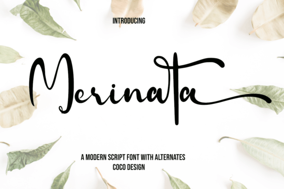 Merinata: A Handwritten Font That Elevates Digital Branding