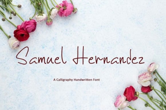 Samuel Hernandez Font for Web Design