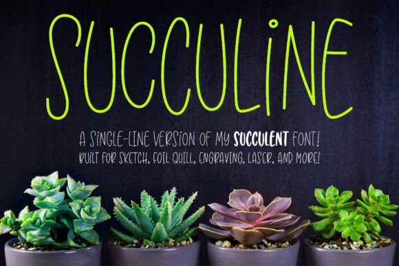 Succuline single Line: A Bouncy Display Font for Web Design