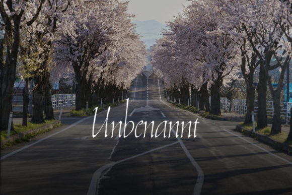 Unbenannt: A Designer's Take on a Freebie Font